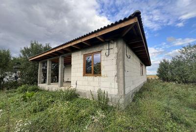 Casă cu 3 camere cu Teren 3800 Mp în Peleș - 3