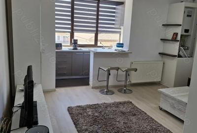 Apartament inchiriere 2 camere - 5