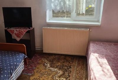 Casa Alexandru Iliescu - 11