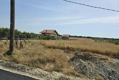 Teren de 6000 mp, în Lazu - 10