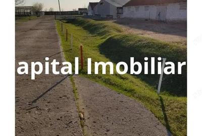 Ferma langa Oravita 5600 mp construiti si teren 24281 intravilan - 10