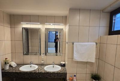 Apartament 3 camere Iancu Nicolae, padure, mobilat, utilat - 16