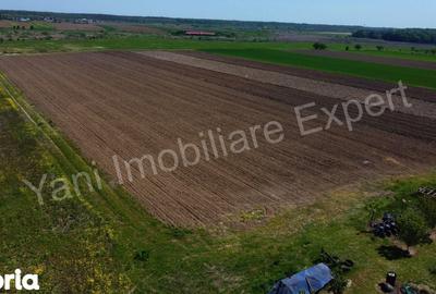 Teren de 526 mp, în Ciocănești - 12