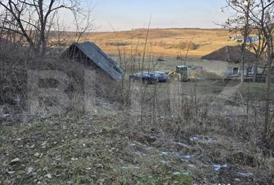 Teren de 79000 mp, în Central