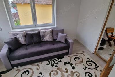 Casa de vanzare in Certeju de Sus, Hunedoara, persoana fizica - 4