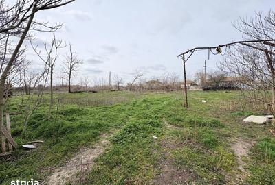 Casă cu 4 camere cu Teren 3747 Mp în Pantelimon - 1