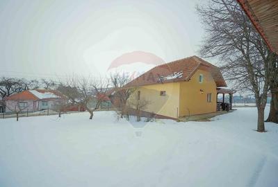 Casă cu 4 camere din cărămidă, de vânzare în zona Bratca-Damiș - 36