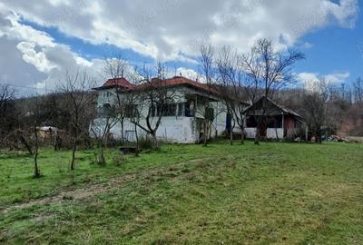 Casa din caramida cu 9000 mp teren - 1