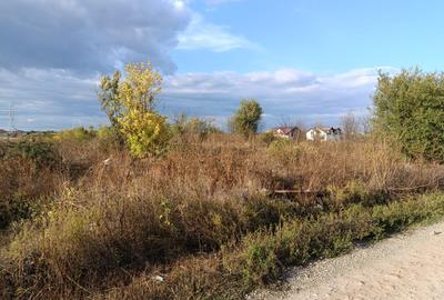 Teren pentru Constructii str.Ortansei -str Orhideei deschidere 364m pe 30m Teren pentru Constructii str.Ortansei -str Orhideei deschidere 364m pe 30m - 5