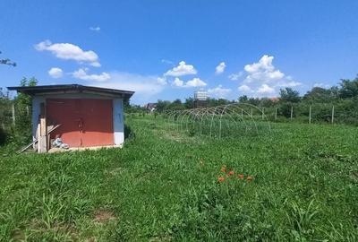 1.528 mp deschidere 24 m toate utilitățile Măgurele, Strada Trifoiului - 5