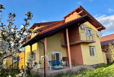 Casa Sinandrei Timis