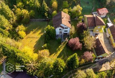 Casa de vacanta, localitatea Cladova, ideal pozitionata - 3