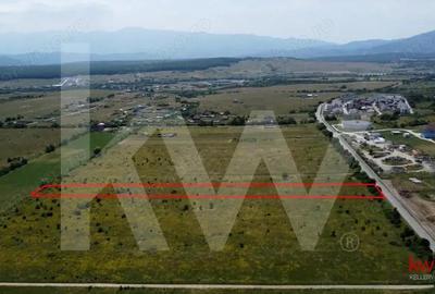 Teren intravilan 5100 mp, Cisnadie - ideal pentru investitie Teren intravilan 5100 mp, Cisnadie - ideal pentru investitie - 2