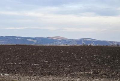 Teren Construcții extravilan de 30700 mp, în Feldioara - 3