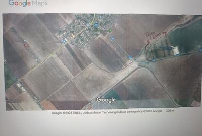 Teren de 16000 mp, în Lilieci - 1