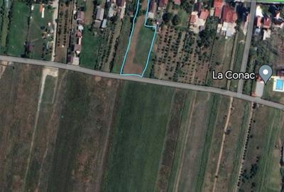 Teren de 3000 mp, în Budeasa - 4
