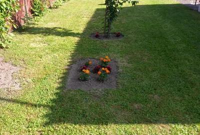 Casa renovata in zona ultracentrala -Municipiul Sacele, situata vis-a-vis de PENY Market, Proprietar - 4