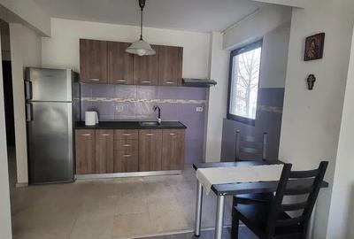 Apartament cu 2 camere, mobilat în Timpuri Noi