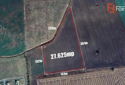 COMISION 0% Teren Extravilan Agricol, Beregsau Mare - Zona in dezvoltare - 3