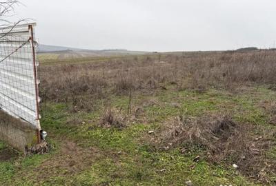 Teren de 500 mp, în Șimnicu de Sus - 2