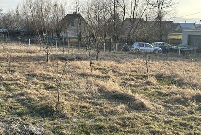 Spațiu comercial, în Horodnic - 4