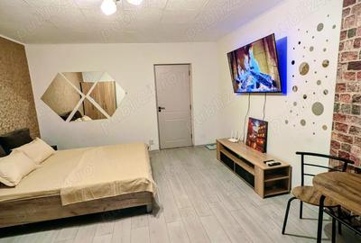 Garsonieră decomandată în Brazda lui Novac - 8