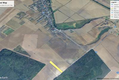 CERNICA-POSTA, LOT 8956 MP, LA PADURE! - 3