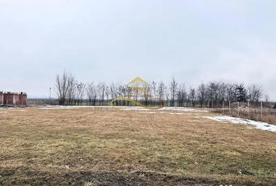 Teren în Săucești - 2