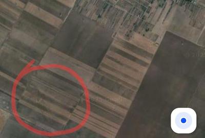 Teren de 23100 mp, în Exterior Vest - 2