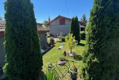 Gospodarie cu Livada, 2900mp, Com Izvoarele - 2