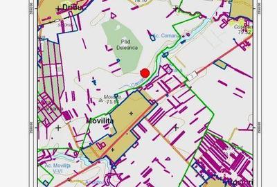 Teren de 11000 mp, în Movilița - 8