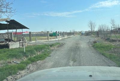 Teren de 668 mp, în Sânmihaiu Român - 7