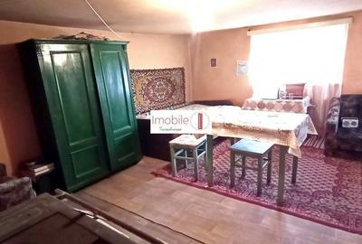 Casă cu 4 camere cu Teren 2608 Mp în Baciu - 2