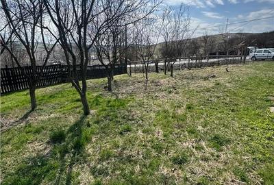 Teren de 11400 mp, în Apahida - 6