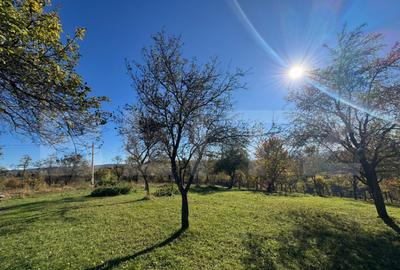 Teren extravilan 2000mp in Tarsa - 4