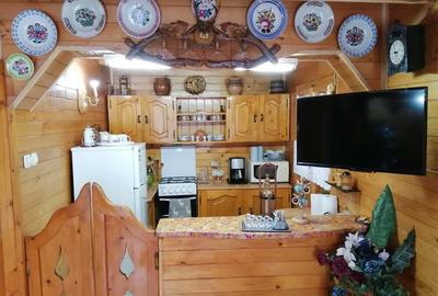 Casă cu 1 camere cu Teren 300 Mp în Ocna Șugatag - 5