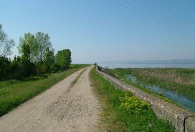 Teren de 8000 mp, în Drăgoești - 3