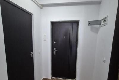 Fundeni, str. Marului, inchiriere garsoniera - 31