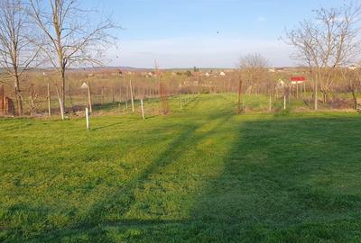 Spațiu comercial, în Petrovaselo - 1