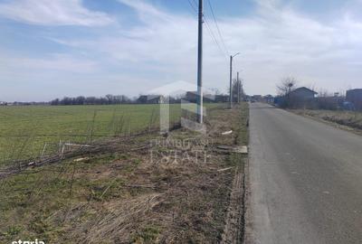 Spațiu comercial, în Tânganu