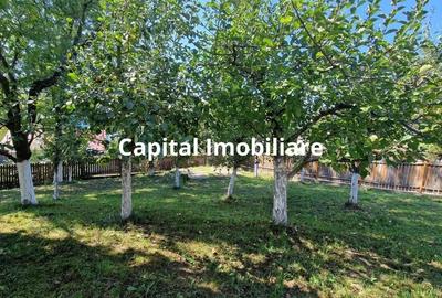 Vila spa?ioasa 5 dormitoare, Provita de Jos - 5