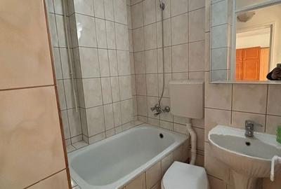 Garsonieră decomandată în Craiovița Nouă - 4
