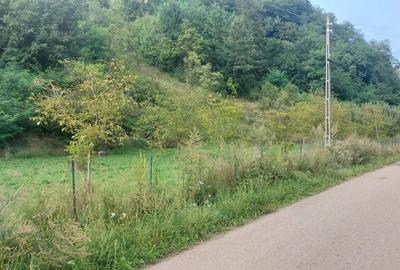 Teren de 7000 mp, în Voia - 2