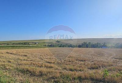 Teren intravilan, 7500 mp in Moara Carp / Strada Eternita... - 18