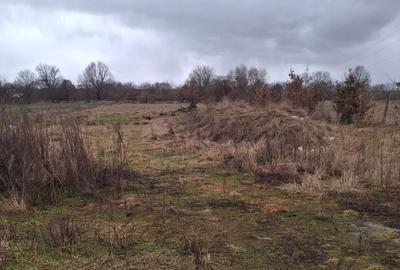 Spațiu comercial, în Porumbacu de Sus - 7