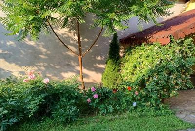 Casă cu 5 camere în Petrești - 1