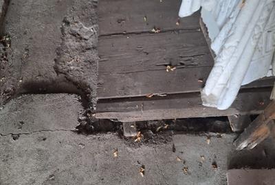 Vand casa teren 3000mp satul Gresia, Rosiorii de Vede, Teleorman - 14