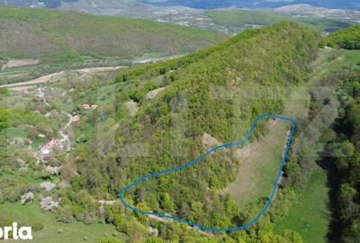 Teren de 9083 mp, în Meteș - 3