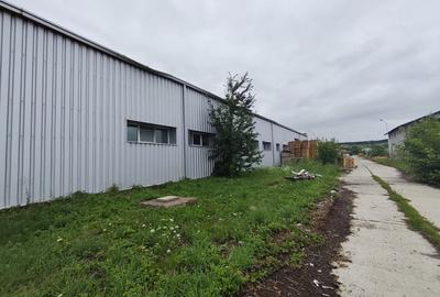 Hala productie+teren la DN, pentru vanzare sau inchiriere - 7