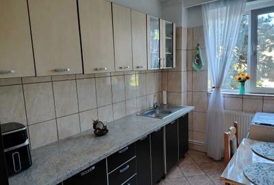 Apartament cu 2 camere semidecomandat în Craiovei - 1